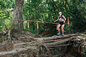 BIB: 
                            <button type="button" onclick="openModal(27801983)" class="btn btn-primary btn-sm float-right btn-popup" data-toggle="modal" data-target=".modal-high-quality">
                        <i class="fas fa-shopping-cart"></i> Add to Cart
                    </button>
                                            <button type="button" onclick="isThisMe(27801983, true)" class="btn btn-success btn-sm float-right btn-popup btn-isme hidden" data-toggle="tooltip" data-placement="bottom" title="นี่คือรูปของคุณใช่ไหม คลิกที่นี่เพื่อเอาเข้าอัลบั้ม">
                        <i class="fas fa-plus"></i> Add to album
                    </button>
                    <button type="button" onclick="isThisMe(27801983, false)" class="btn btn-warning btn-sm float-right btn-popup btn-isnotme hidden">
                        <i class="fas fa-ban"></i> Remove from album
                    </button>